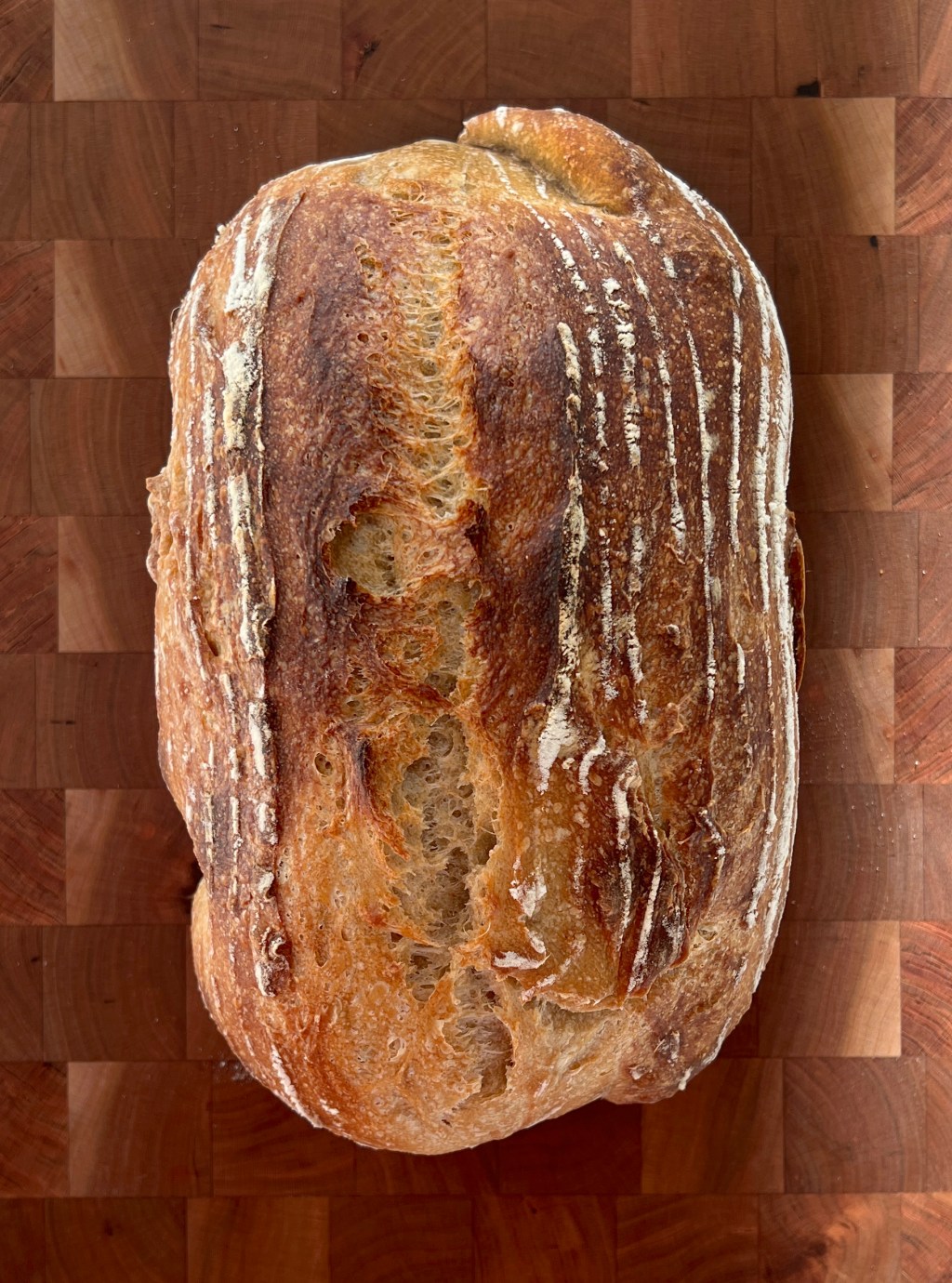 Hot news: Sourdough is coming